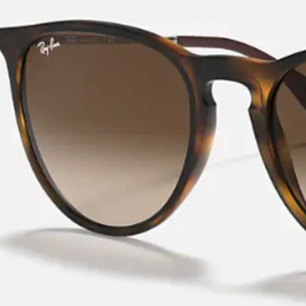 Ray-Ban Erika Classic Sunglasses